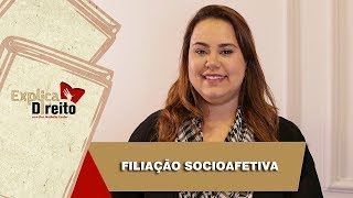 Explica Direito Filiação Socioafetiva  2019 [upl. by Neerual]