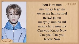 NCT U  Know Now Easy Lyrics [upl. by Amalburga]