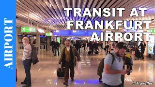 TRANSIT WALK AT FRANKFURT Airport FRA Terminal 1  Connection Flight Transfer Arriving amp Departing [upl. by Allistir]